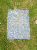 image of grave number 654893